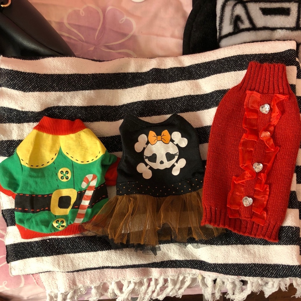 3 piece bundle Petite Dog Shirts 🐾